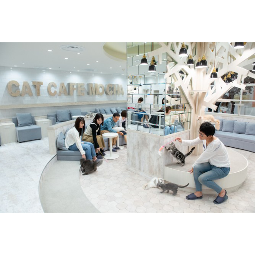 猫カフェMOCHA