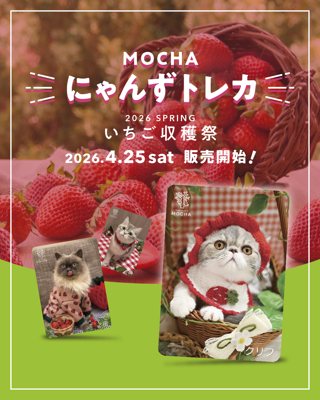 大人気！にゃんずトレカ