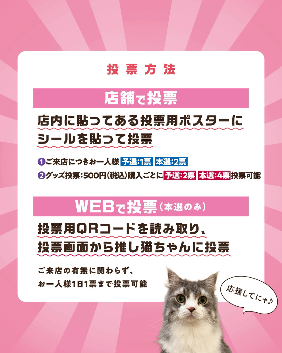 にゃんず総選挙開幕！